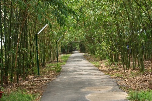 3. Vườn Xoài Chỉ cách Sài Gòn 30km, nhưng KDL vườn Xoài xanh ngát với con đường tre dẫn vào trong, với những trảng cỏ bạt ngàn, rừng xoái cát xanh rì, ngôi nhà ngói hơn 100 năm tuổi cổ kính.